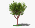 Árvore de morango Modelo 3d