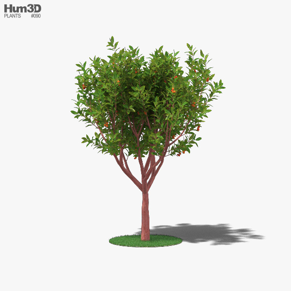Strawberry Tree 3D model
