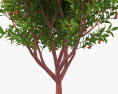 Strawberry Tree 3d model