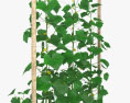 Cucumber Plant 3d model