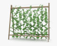 Bohnenpflanze 3D-Modell