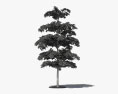 Black olive tree 3d model