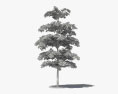 Black olive tree 3d model