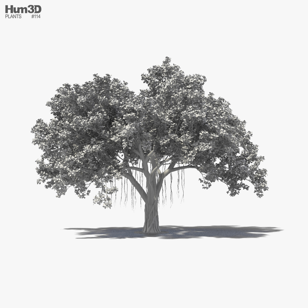 3d banyan tree model free download