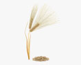 Barley 3d model