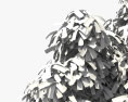 Avocado Tree 3d model