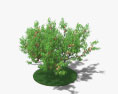 桃の木 3Dモデル