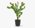Nopal Cactus Modèle 3d