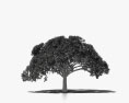 Guanacaste tree 3d model