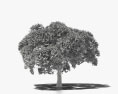 Guanacaste tree 3d model