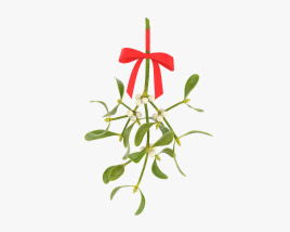 Mistletoe Sprig 3D model