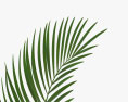 Palm Leaf 3d model