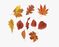 Ensemble de feuilles d'automne Modèle 3d