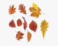 Conjunto de Folhas de Outono Modelo 3d