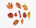 Ensemble de feuilles d'automne Modèle 3d