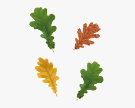Oak Leaf Season Set 3D model