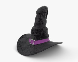 Witch Hat 3D model