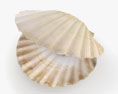真珠の貝殻 3Dモデル