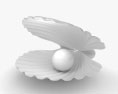 真珠の貝殻 3Dモデル