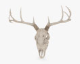 鹿の頭蓋骨 3Dモデル