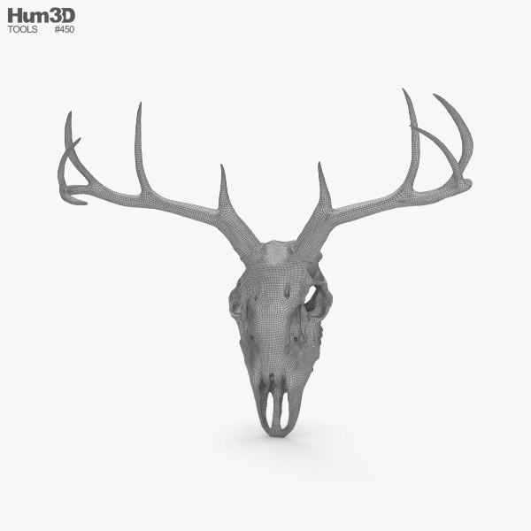 Deer Skull CAD 3D model - Animals on Hum3D