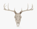 鹿の頭蓋骨 3Dモデル