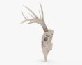 Deer Skull 3d model