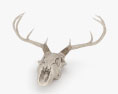 Deer Skull 3d model
