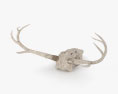 Deer Skull 3d model