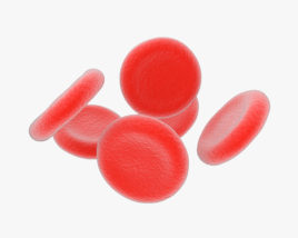 Rote Blutkörperchen 3D-Modell