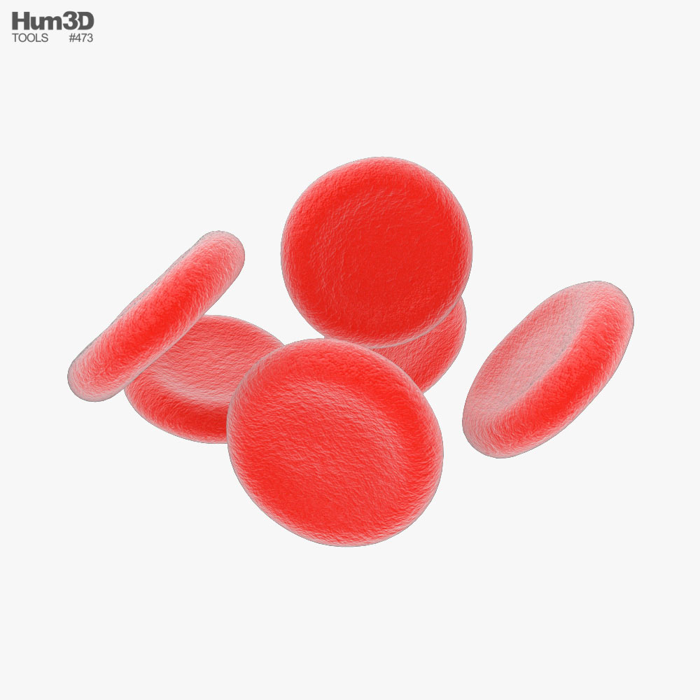 Globulo rosso Modello 3D