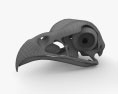 鳥の頭蓋骨 3Dモデル