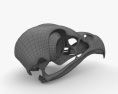 鳥の頭蓋骨 3Dモデル