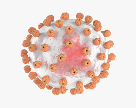 Virus de Lassa Modelo 3D