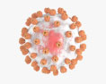Lassa Virus 3d model