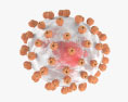 Lassa Virus 3d model