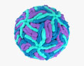 Вірус денге 3D модель