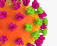 Grippevirus 3D-Modell