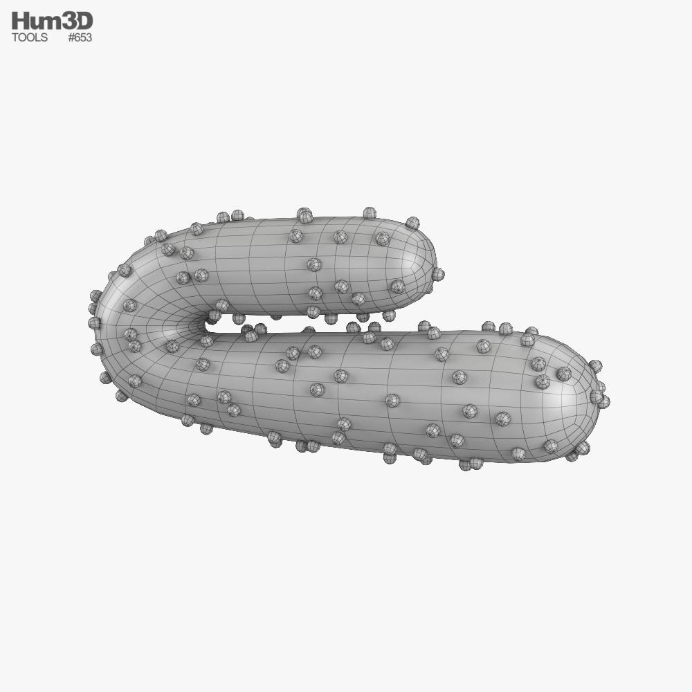 Marburg Virus 3D model - Life and Leisure on Hum3D