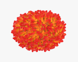 Smallpox Virus 3D model