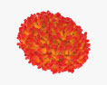 Smallpox Virus 3d model