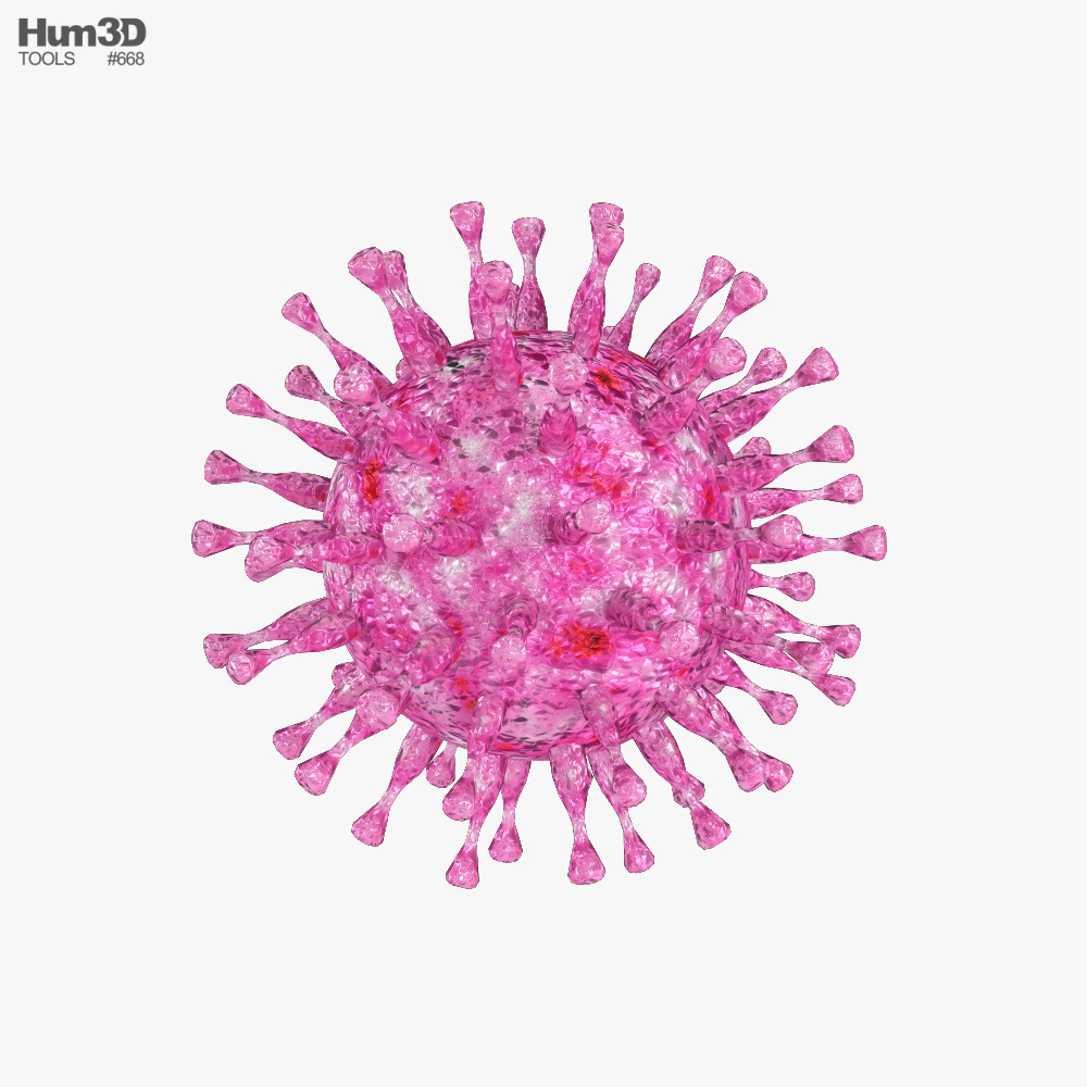 Herpes Virus 3D model
