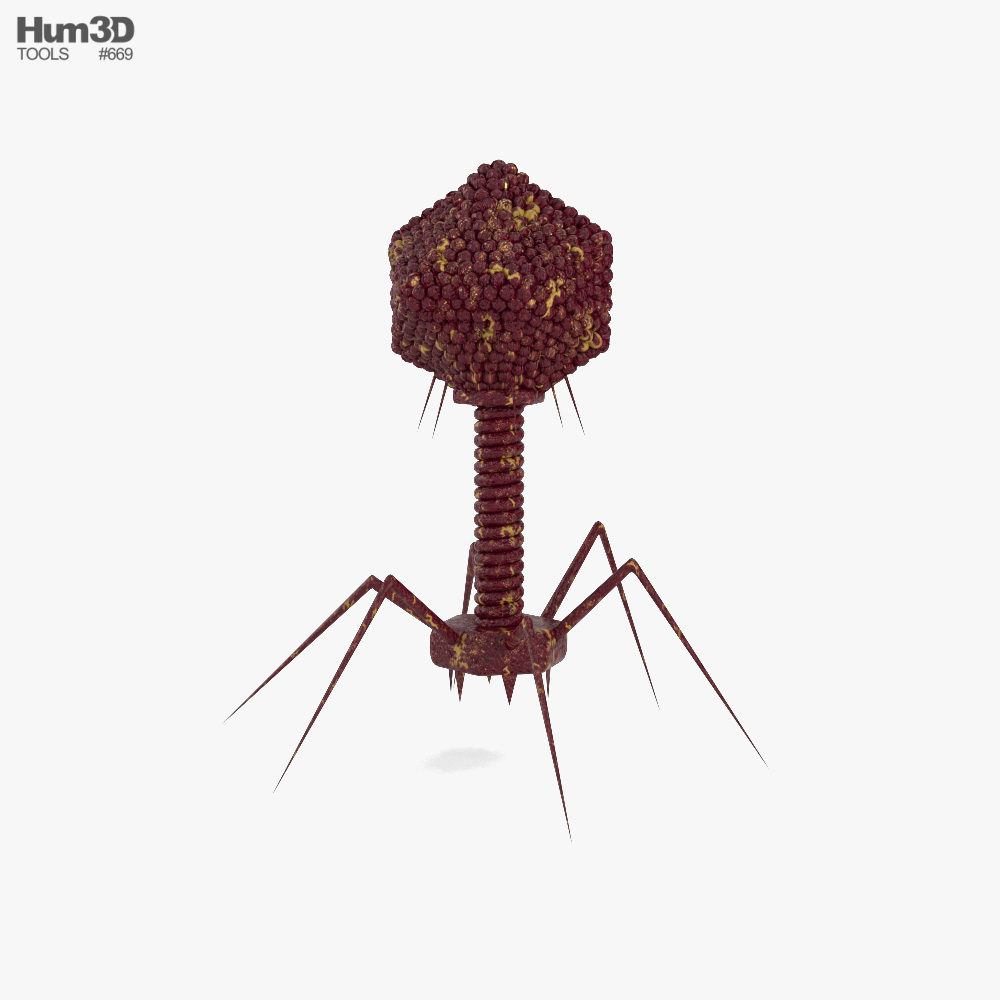 Bacteriófago Modelo 3d