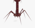 Bacteriophage 3d model