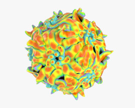 Virus adéno-associé Modèle 3D