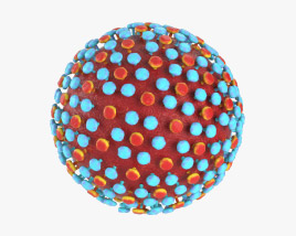 Hepatitis C Modelo 3D