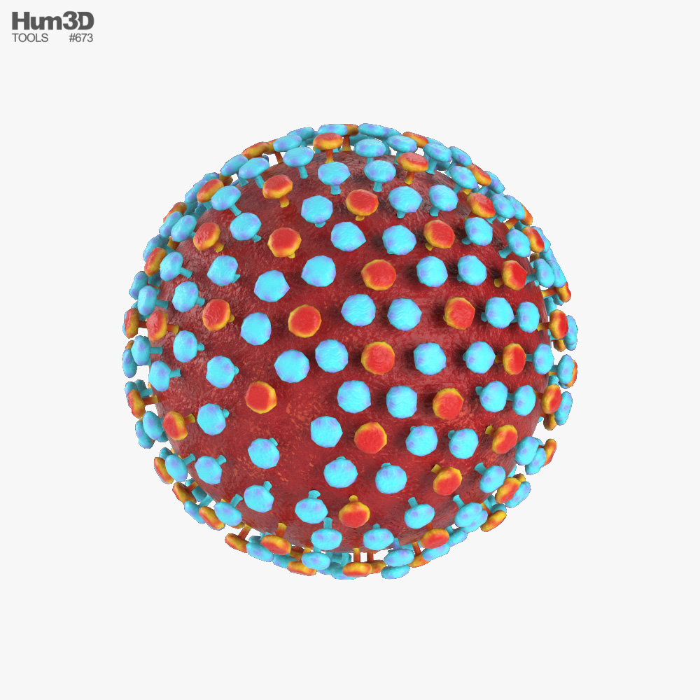 Hepatitis C 3d model