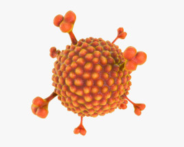 Adenovirus Modello 3D