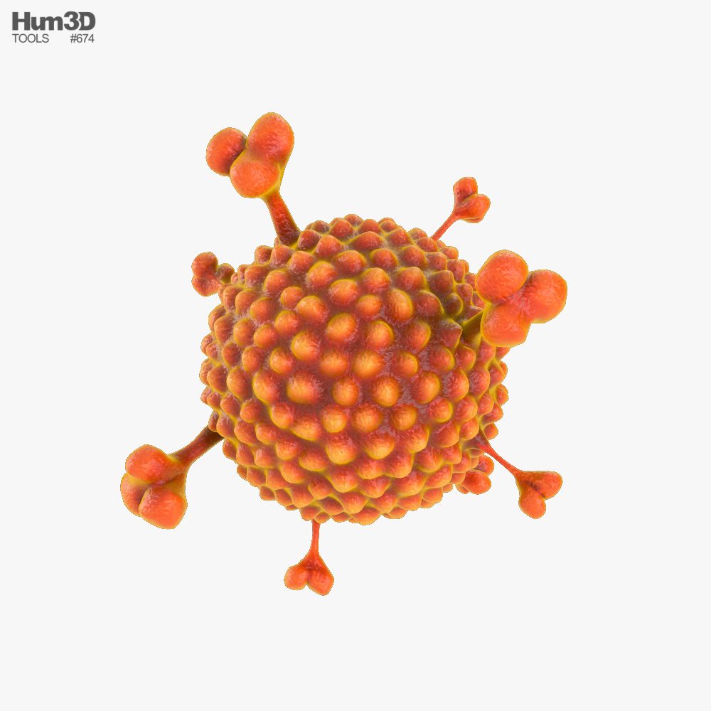 Adenovirus 3D model
