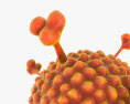 Adenovirus 3D-Modell